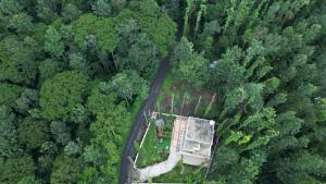 The Great Escape at Yercaud