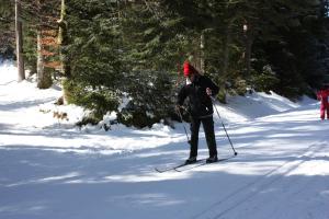 Campings Volcans Vacances Les Chalets Du Lac : photos des chambres