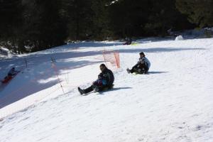 Campings Volcans Vacances Les Chalets Du Lac : photos des chambres