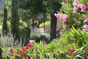 Villas La Bastide : photos des chambres