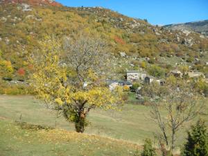 Appartements Ferme Can Llull : photos des chambres