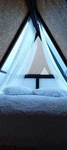 Ecoparque Nevado Del Ruiz