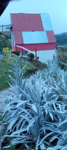 Ecoparque Nevado Del Ruiz