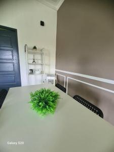 Alola Homestay Ketereh
