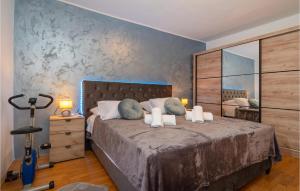 Nice Home In Pridraga With Wifi