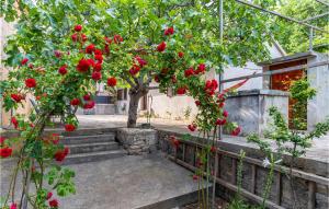 Nice Home In Pridraga With Wifi