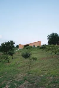 Szegzárd - the lodge - Baja