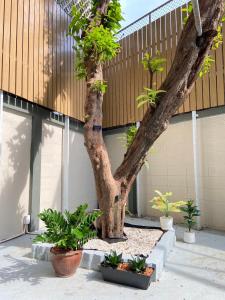 3 Brothers House Ekkamai