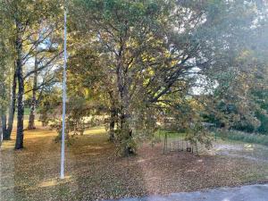 Valoisa kaksio puiston reunassa lähellä keskustaa