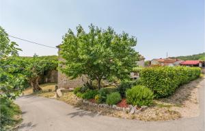 Stunning Home In Buje With House A Panoramic View