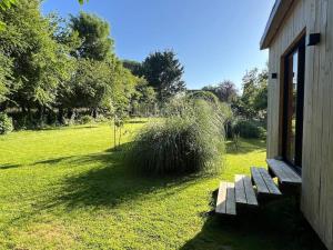 Tiny à lorée des bois