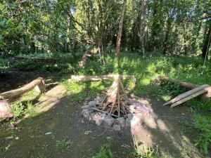 Maisons de vacances Tiny a l-oree des bois : photos des chambres