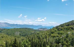 Stunning Home In Zrnovo With Wifi