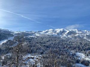 Les GRANDS SORBIERS à Méribel - Charmant studio situé à 2 pas des pistes & du centre de Méribel