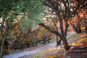 Appartements La Petite Cigale, grand balcon a 10min du Circuit Paul Richard et 15min de la mer - By AURAconciergerie : photos des chambres