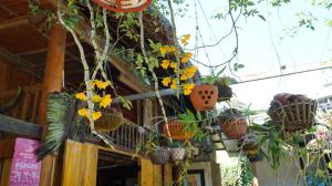 Phòng Đôi (Double Room)