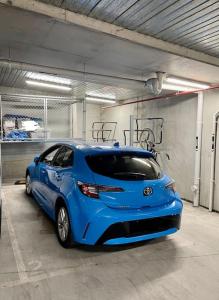 Action in vibrant Collingwood Fitzroy