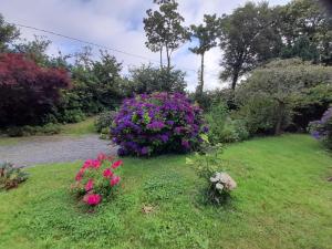 Bed and Breakfast Saultchevreuil, sur la route du Mont Saint Michel