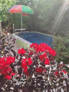 Apartment at villa with pool