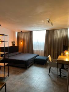 Large Double Room room in Hotel Arte