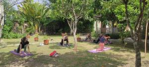 Blue Garden Yogyakarta