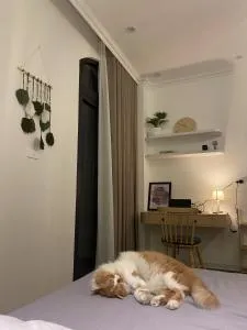 Nhà Lá Ocean Park 2 - Hải Dương