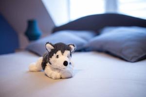 Pretty Home Skyline Work & Stay