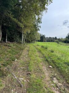 Chalets Chalet en pleine nature : photos des chambres