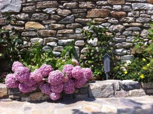 Mountain's Secret Pelion Greece