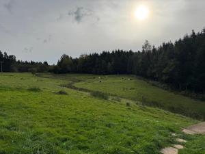 Chalets Chalet en pleine nature : photos des chambres