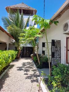 Nungwi beach house l