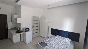 Apartamenty Micadas