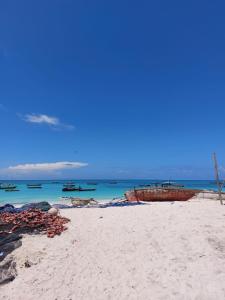 Nungwi beach house l