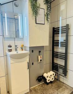 Love Lane Cottage Dolgellau