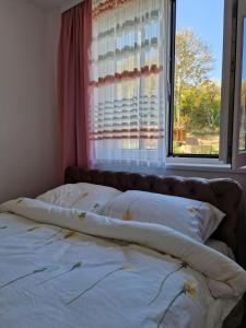 Apartman AQUARELLE sa bazenom, Delux apartman sa bazenom