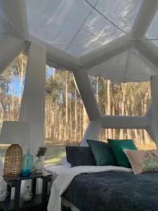 Coonawarra Hampton Bubble 4 - 纳拉库特