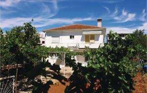 Nice Apartment In Pula With Wifi 