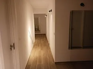 Siavon 71 - Nogueira