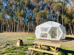 Coonawarra Hampton Bubble 5 - 纳拉库特