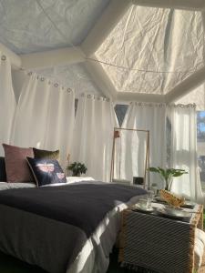 Coonawarra Hampton Bubble 5