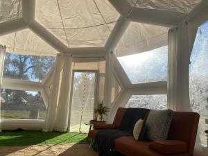 Coonawarra Hampton Bubble 5