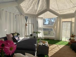 Coonawarra Hampton Bubble 5