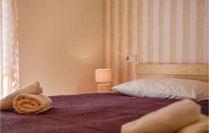 1 Bedroom Cozy Apartment In Stanici 