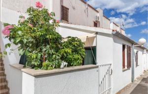 Amazing Apartment In Barbariga With Kitchen 