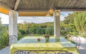 Apartment Dracice Vi