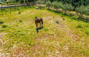 Apartment Krnica Iii