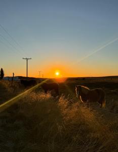 Ásahraun Guesthouse