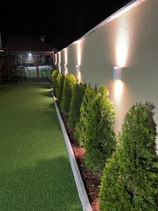 Forest Oasis Guest House FREE PARKING