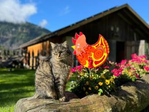 Lehrnerhof Lüsen Familienurlaub auf dem Bauernhof bei Brixen ruhig und authentisch