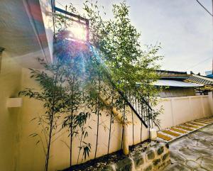 Stay here - entire house